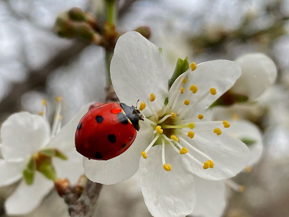 Фотография автора Екатерина Круглик