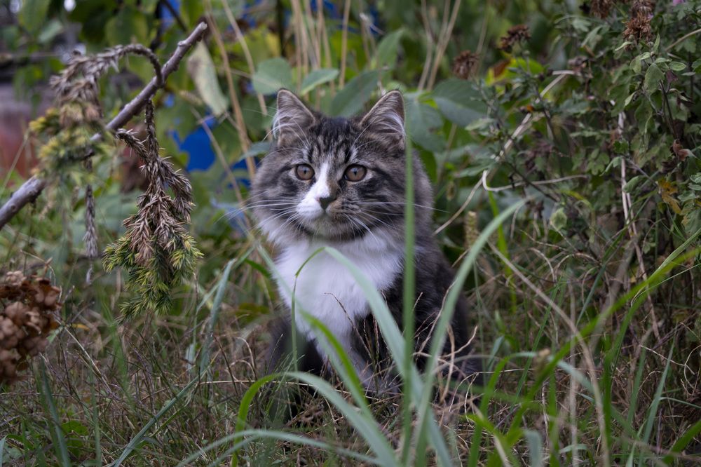 Photograph by Леонид Безручко