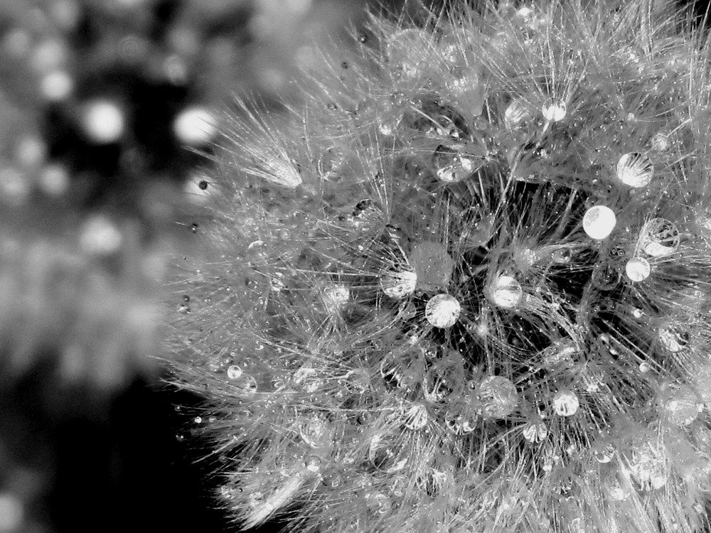 Photograph by Жанна Нечаева