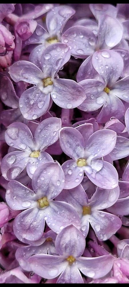 Photograph by Татьяна Исаева