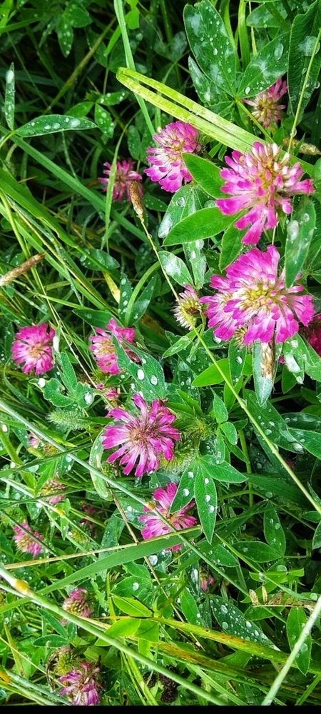 Photograph by Татьяна Исаева