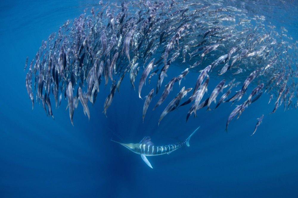 Photograph by Deniz muzaffer Gokmen