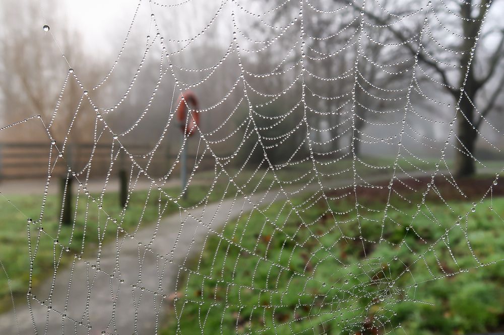 Photograph by Sergejs Barkans