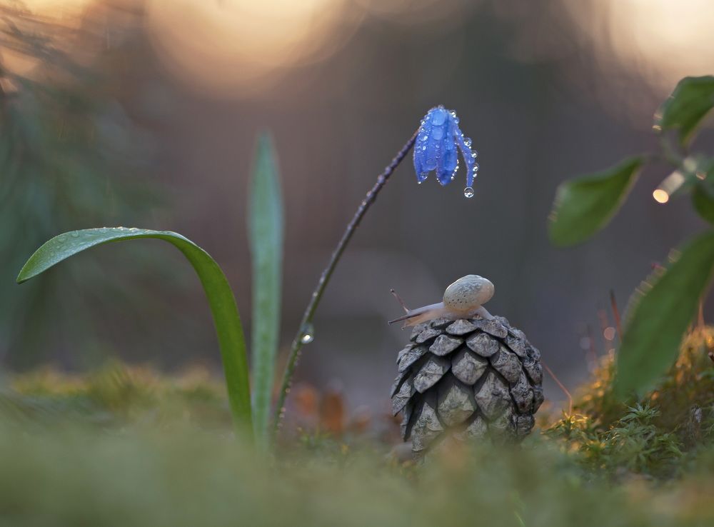 Photograph by Александр Гвоздь