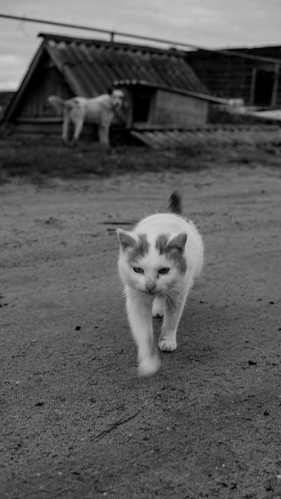 Photograph by Павел Соснин