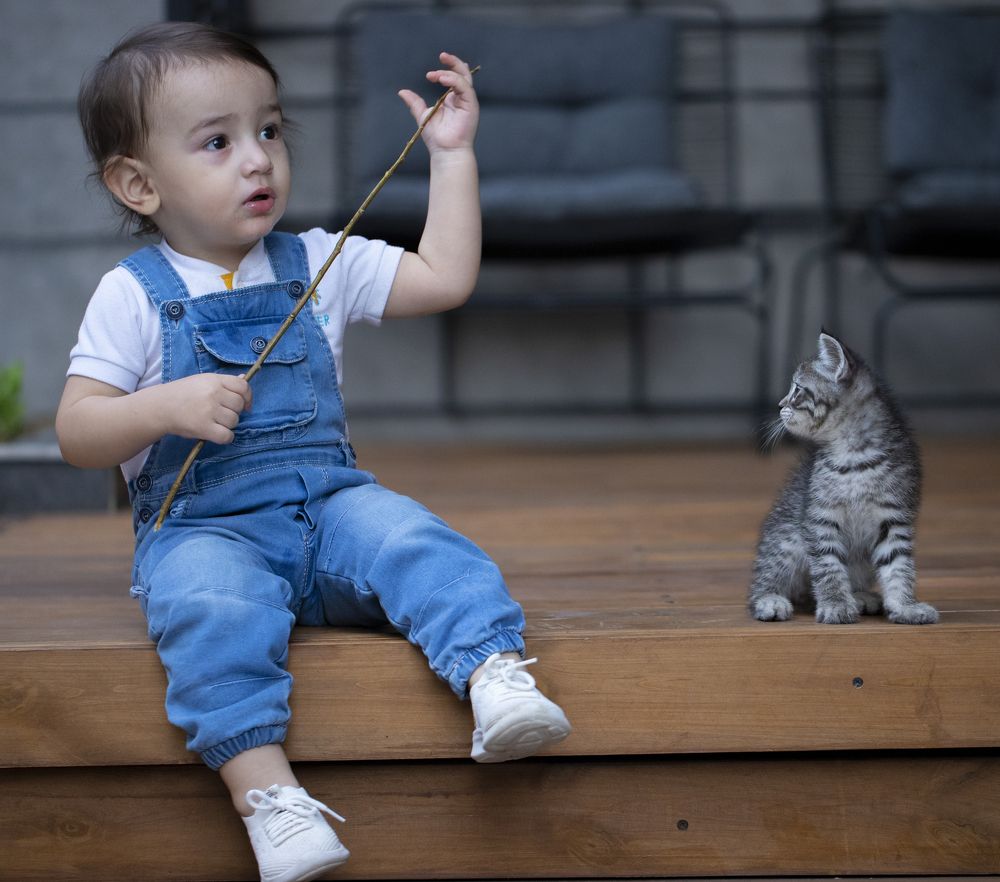 Фотография автора Hamidreza Saedi