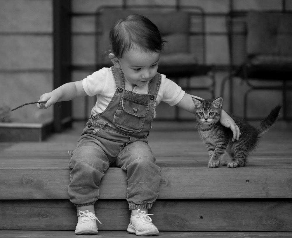 Фотография автора Hamidreza Saedi