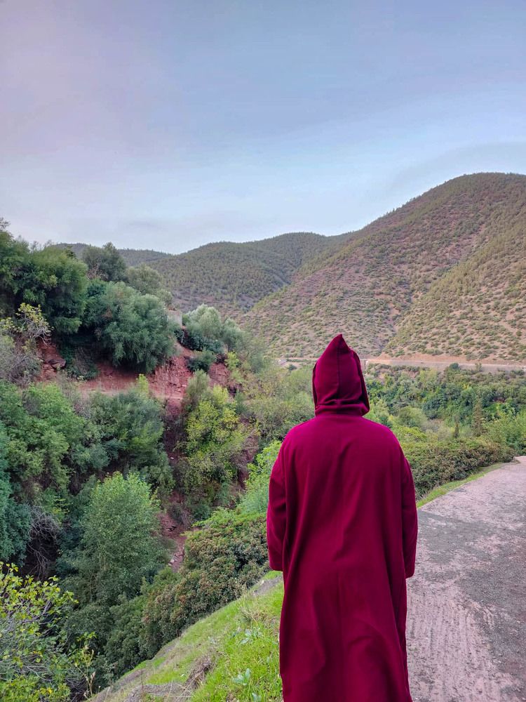 Photograph by esti lahat