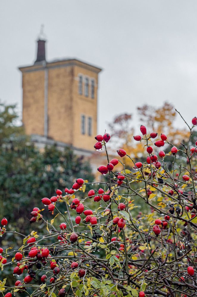 Photograph by Юлия Сидорова