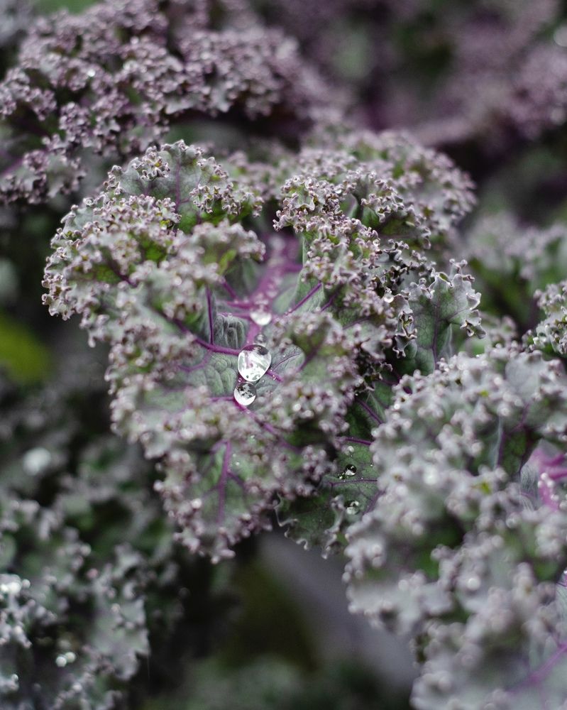 Photograph by Юлия Сидорова