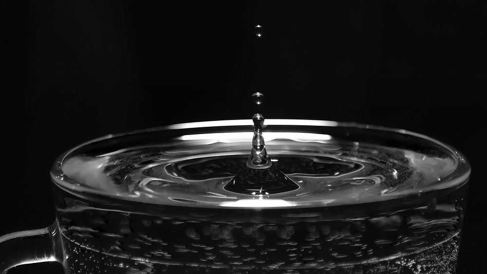 Photograph by Алексей Парамонов