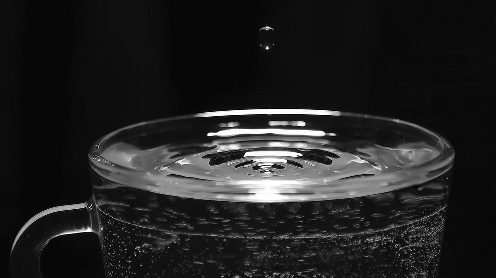 Photograph by Алексей Парамонов