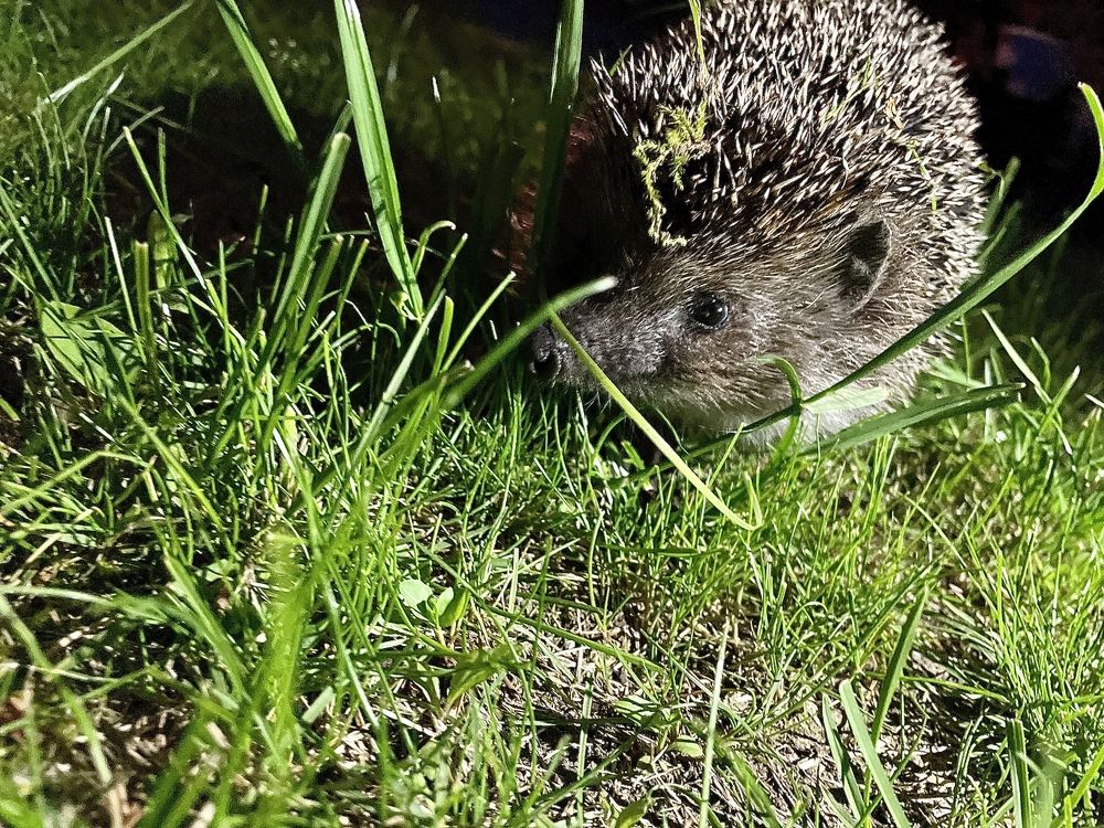 Photograph by Лариса Белашова