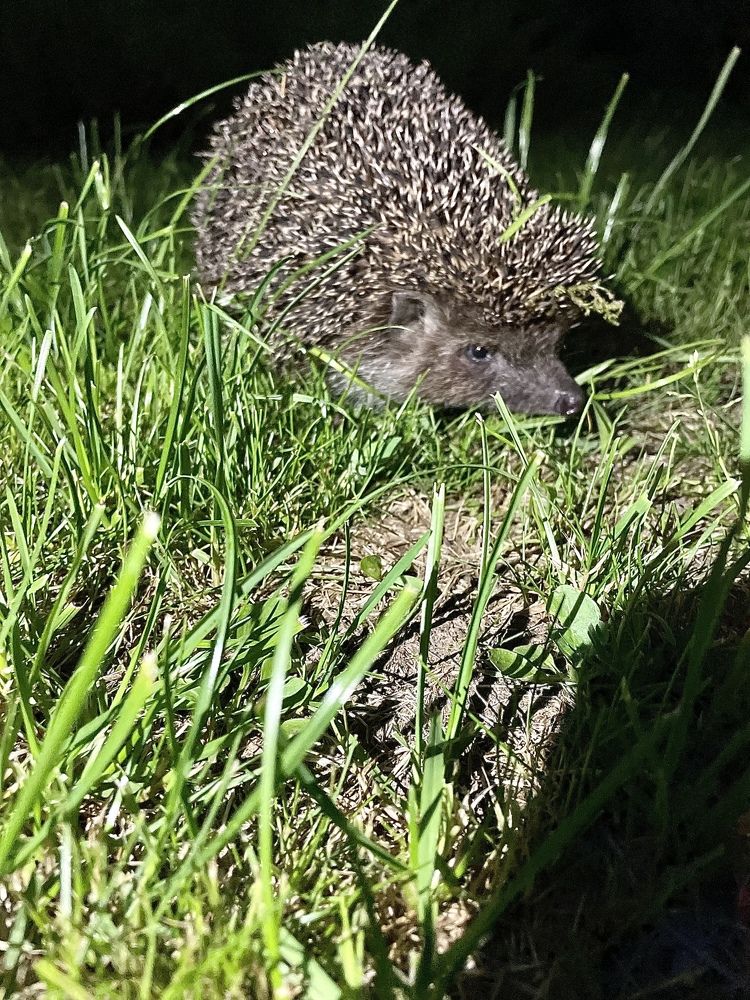 Photograph by Лариса Белашова