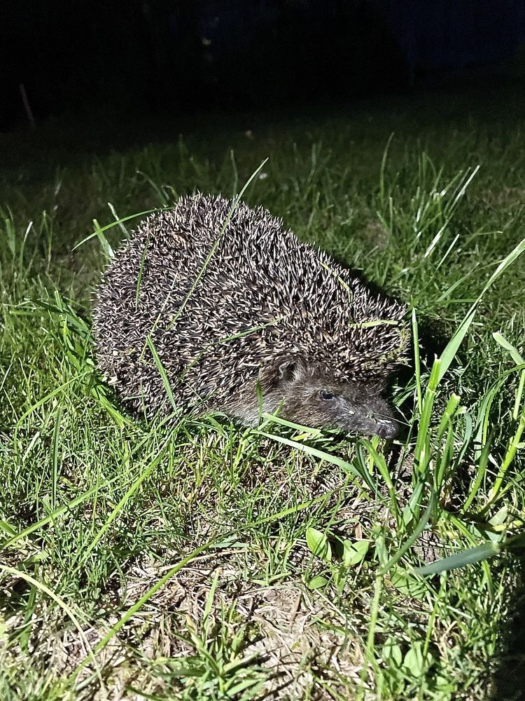 Photograph by Лариса Белашова