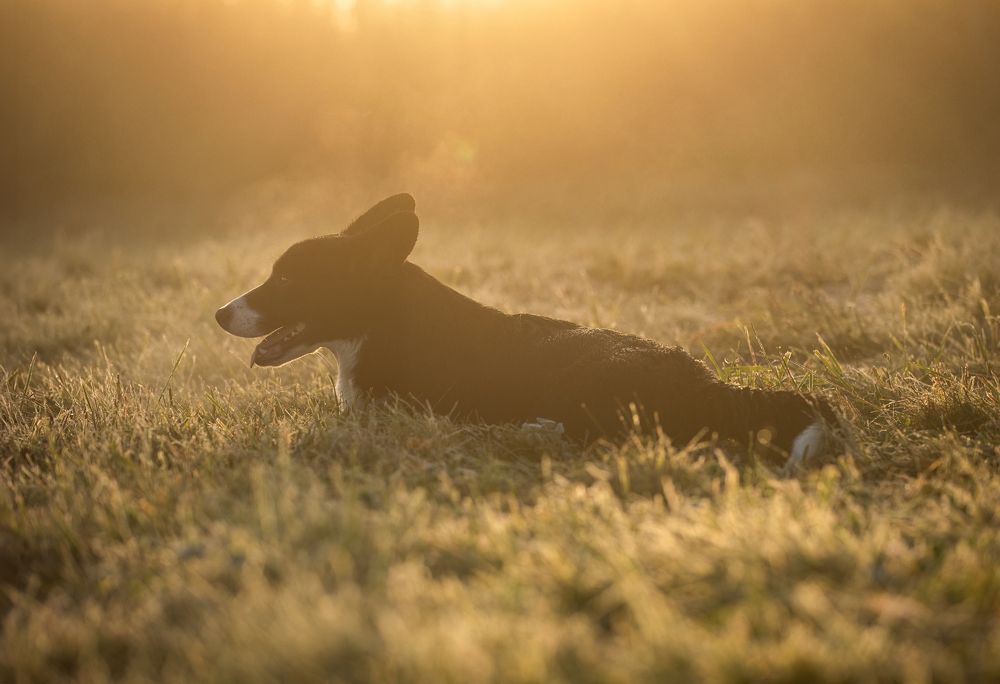 Photograph by Вера Якушева