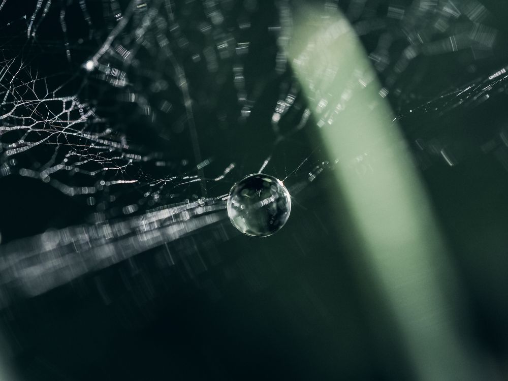 Photograph by Ирина Протченко