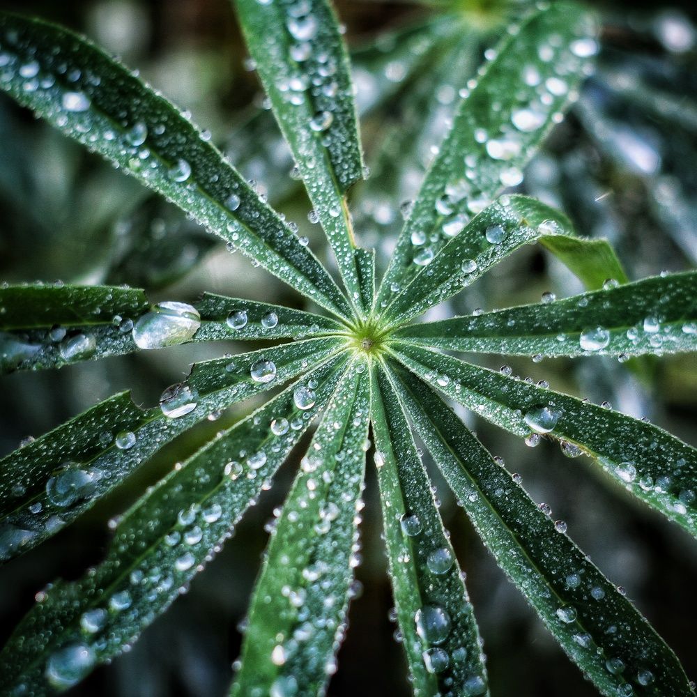 Фотография автора Максим Светличный