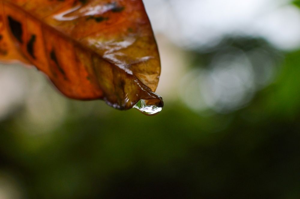 Photograph by Oxana Ukhlina