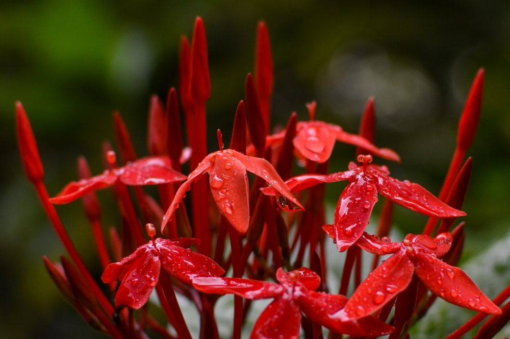 Photograph by Oxana Ukhlina