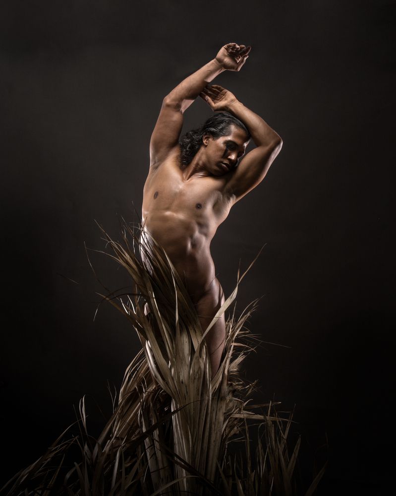 Фотография автора YOMAN NUÑEZ