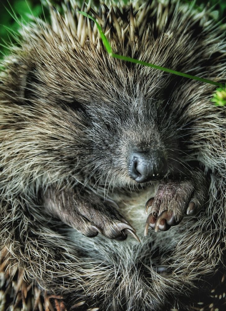 Photograph by Максим Светличный