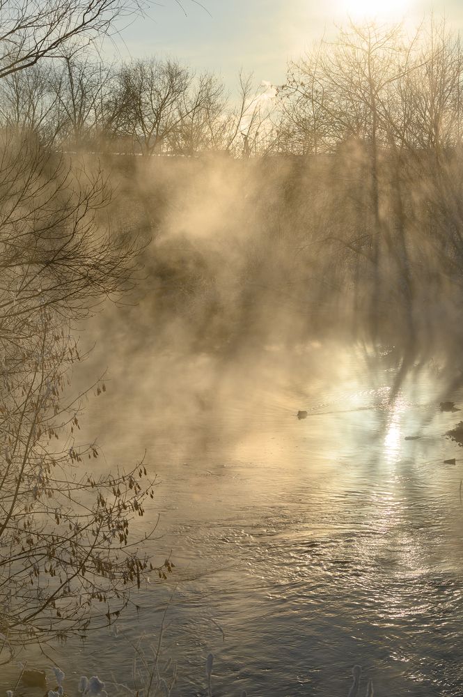 Photograph by Алексей Клейменов