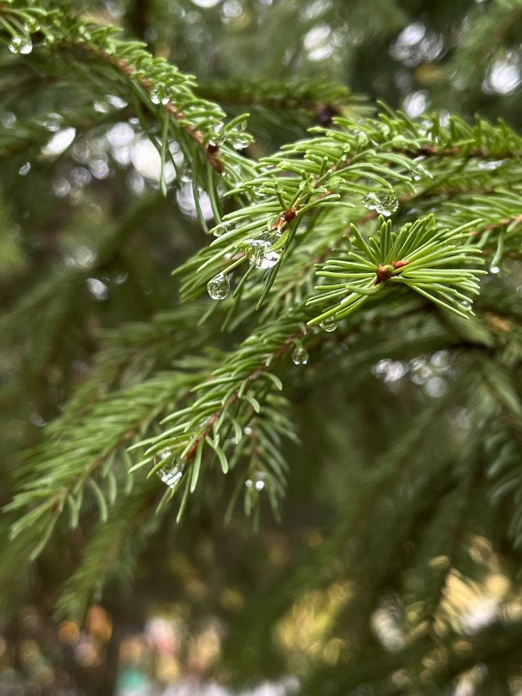 Photograph by Ekaterina