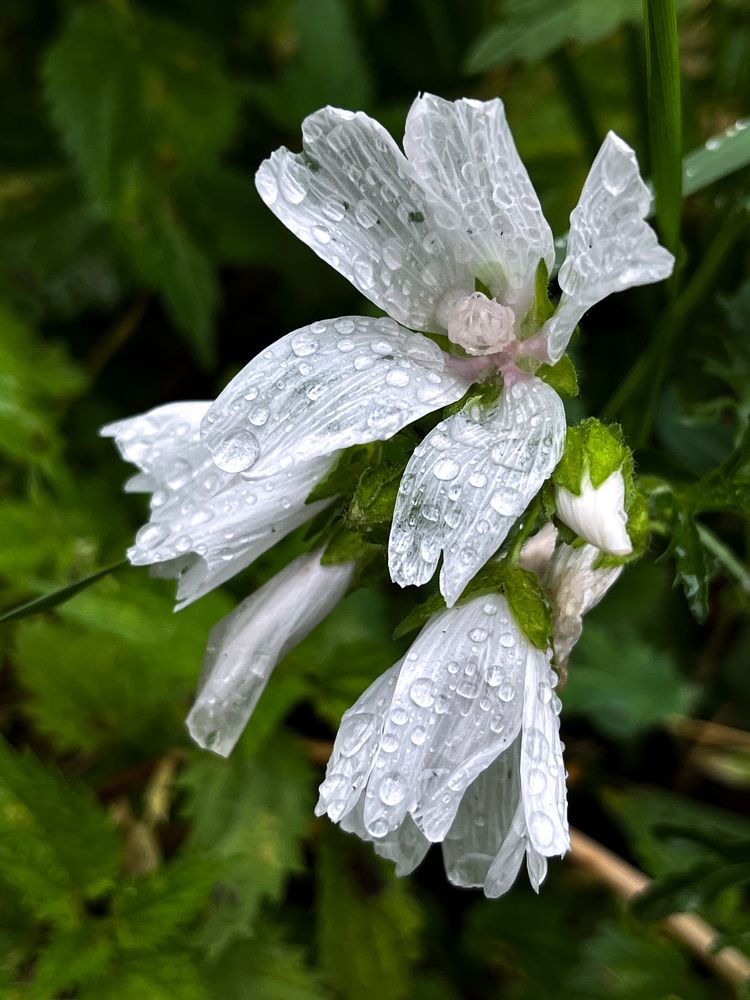 Photograph by Ekaterina