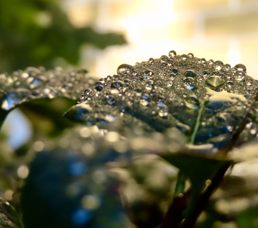 Photograph by Елена Жукова