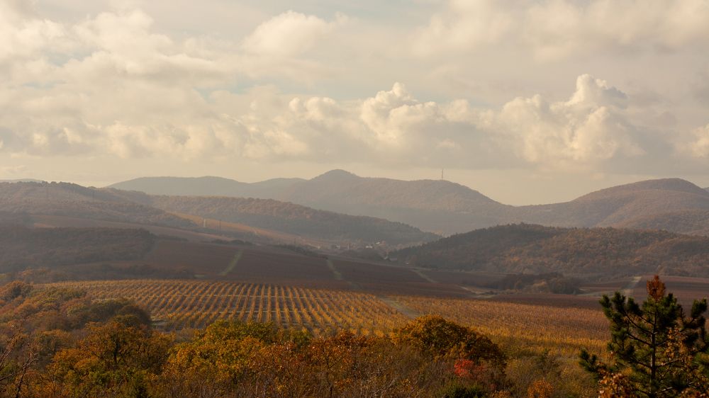 Photograph by Забудская Наталья