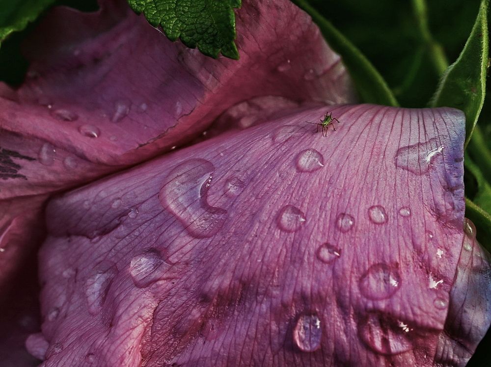 Photograph by Алексей Зимин