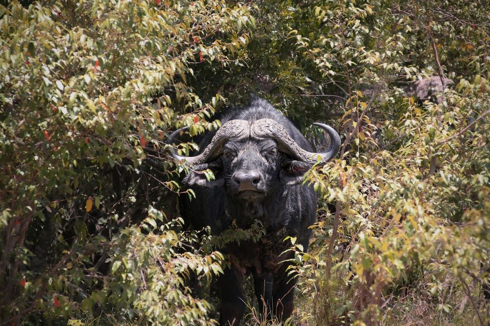 Photograph by Вячеслав Залитко