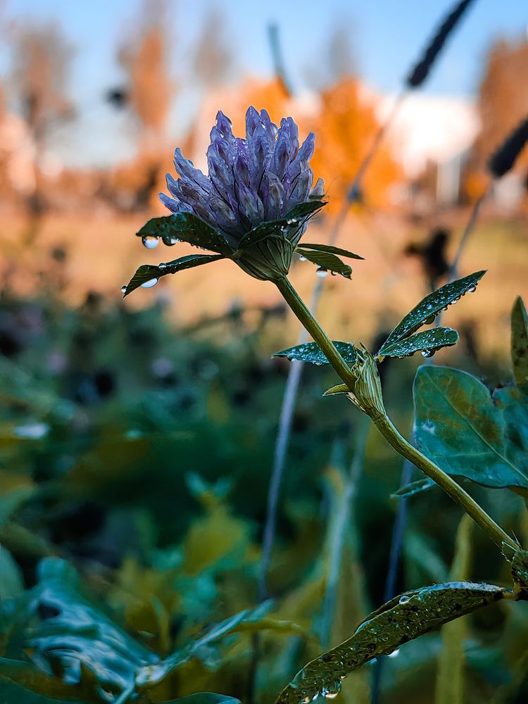 Photograph by Надежда