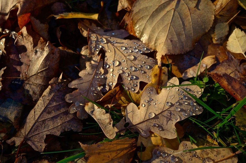 Photograph by Елена Жукова