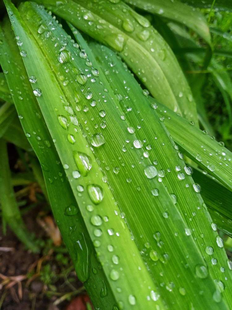 Photograph by Настя Настена