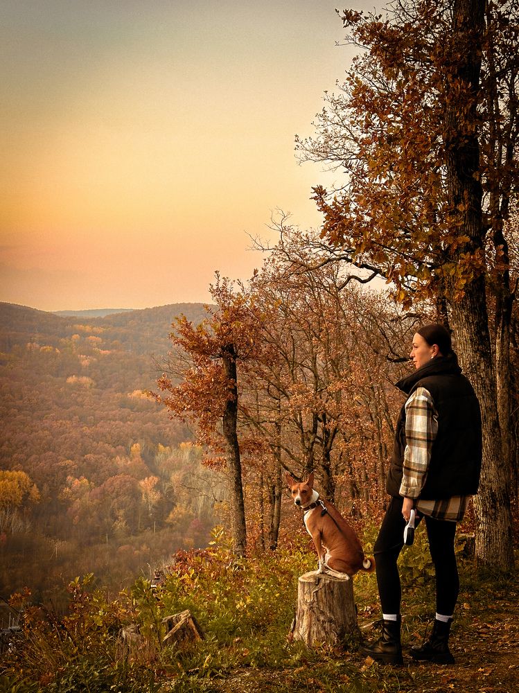 Автопортрет