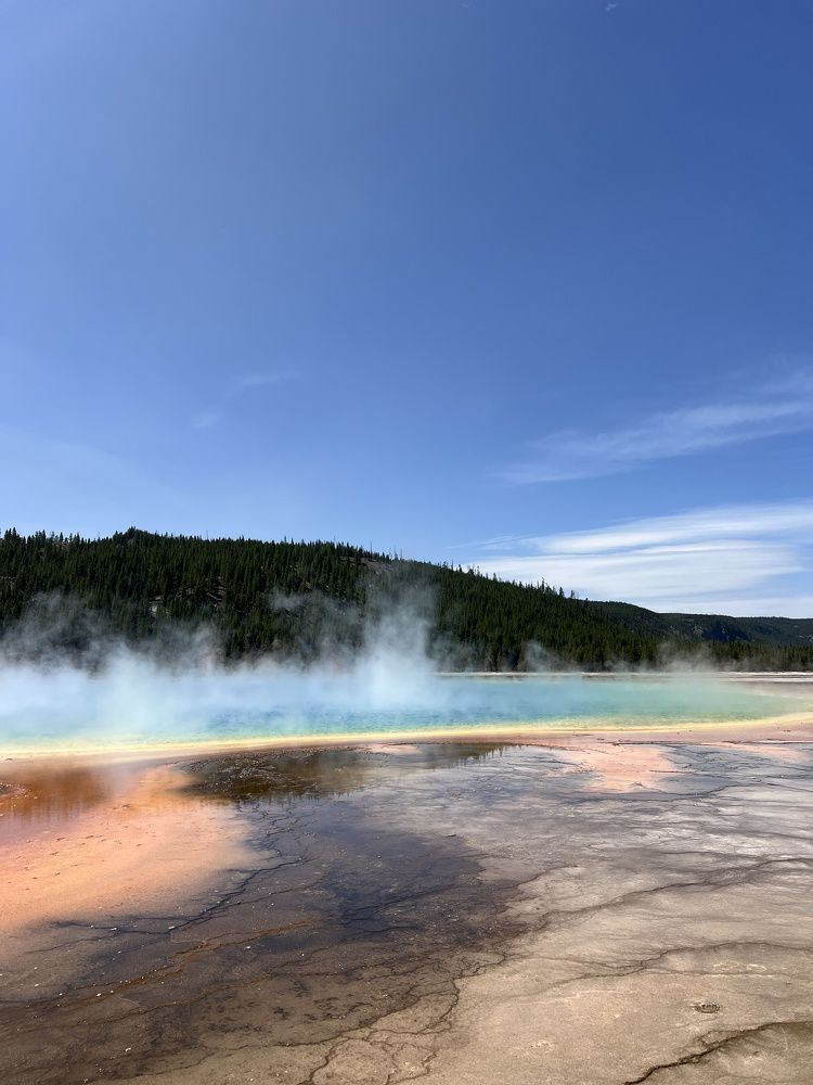 Фотография автора Diana