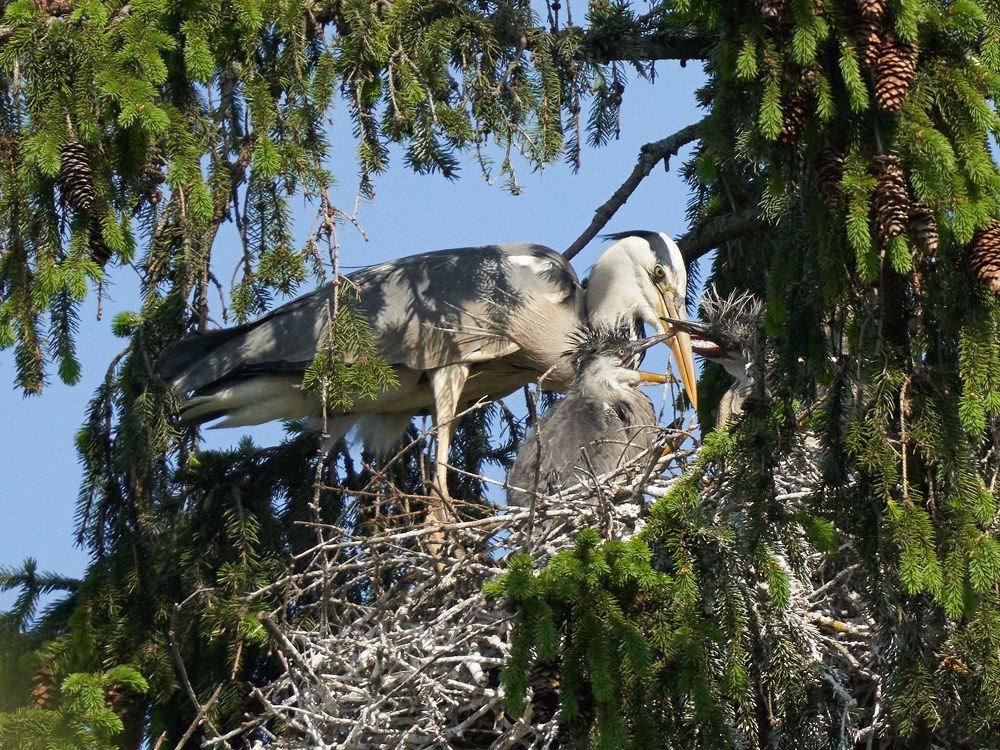 Photograph by Victor Krachkovsky