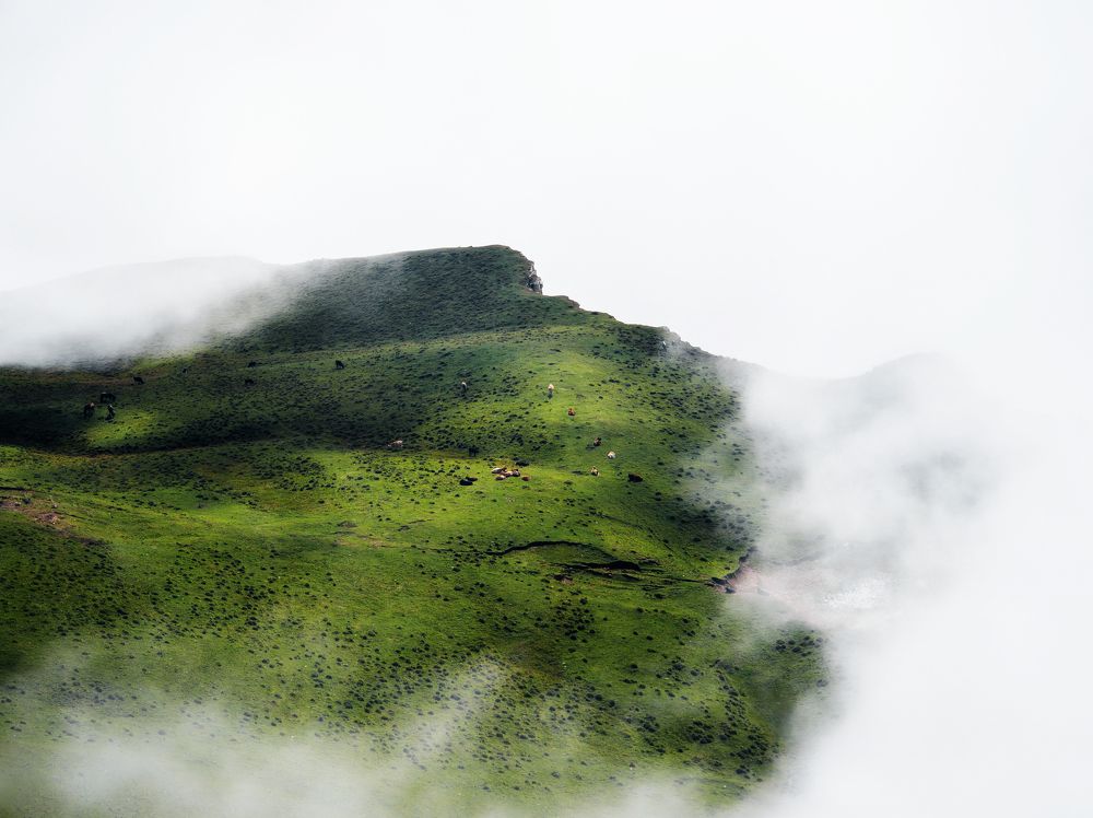 Photograph by Илья Цымбал