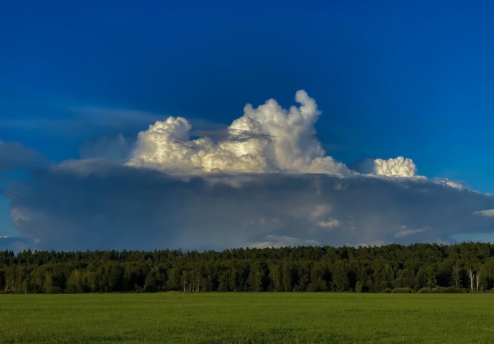 Photograph by Anna Ovanesova