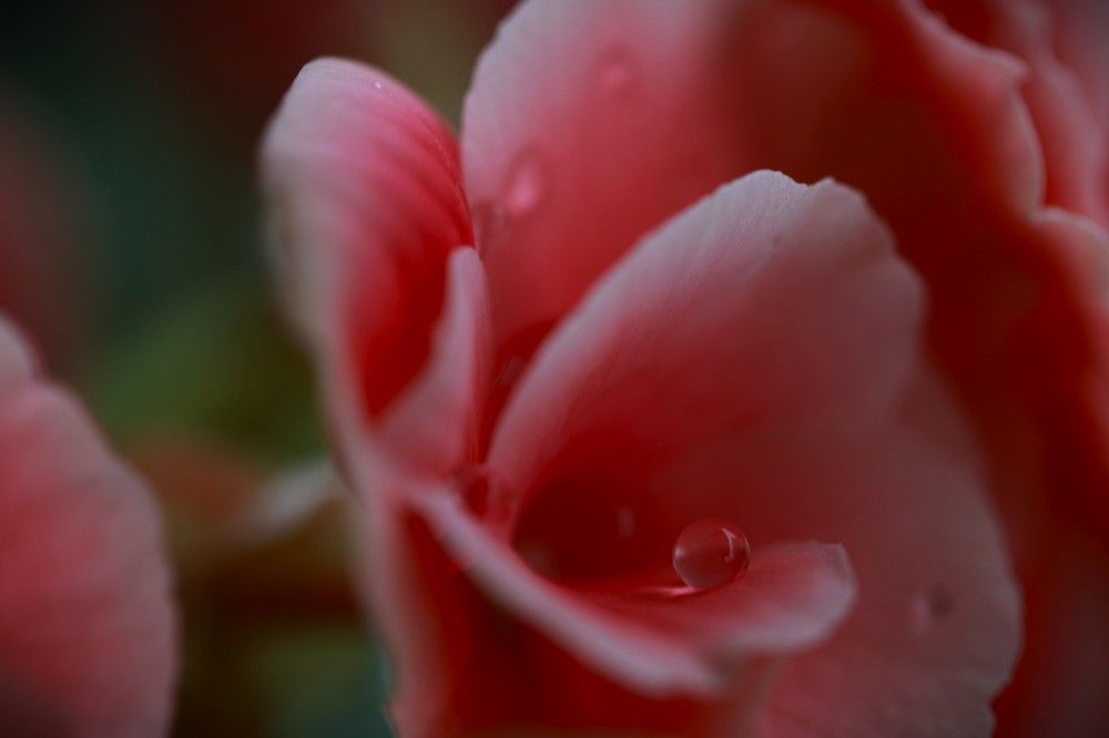 Photograph by Gr Marie