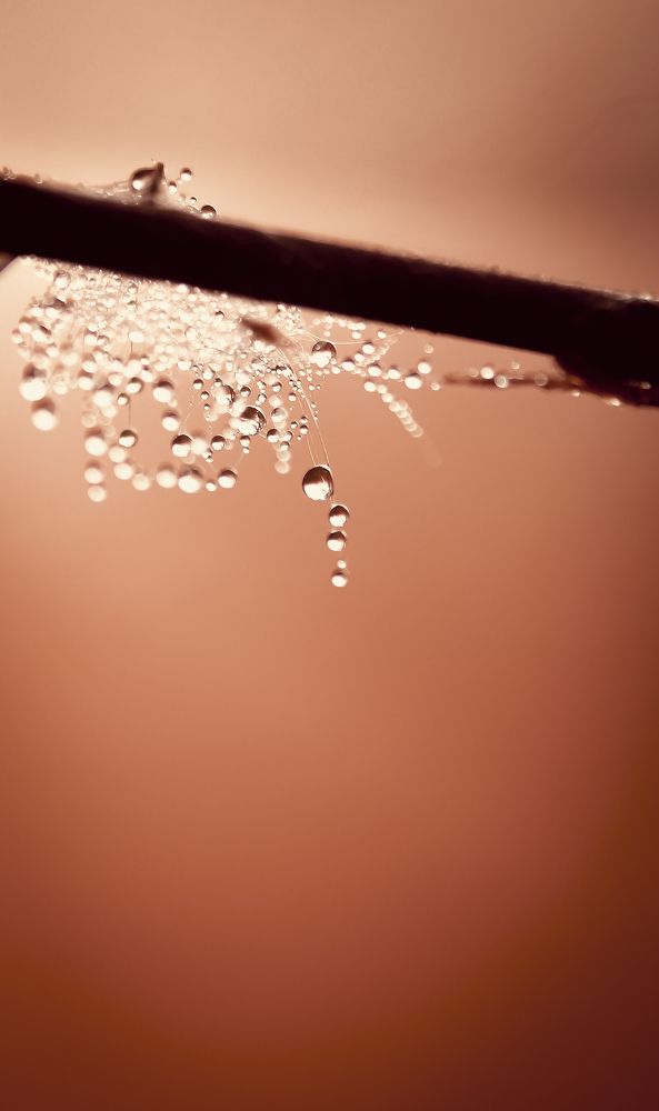 Photograph by Анна Тен