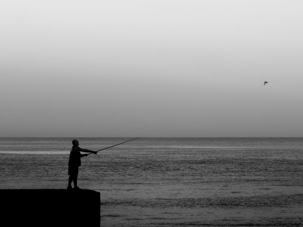 Photograph by Bryan Espinosa Álvarez