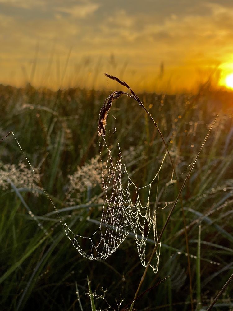Photograph by Екатерина Павловец