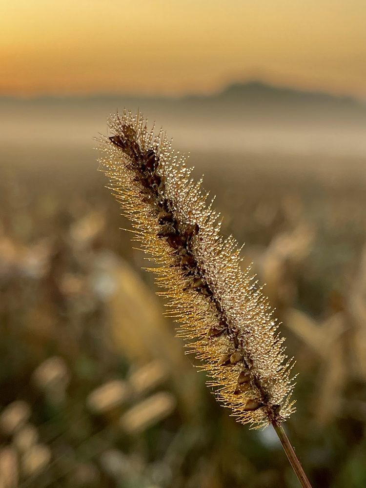 Photograph by Екатерина Павловец