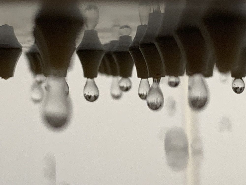 Фотография автора Ирина Шпаковская