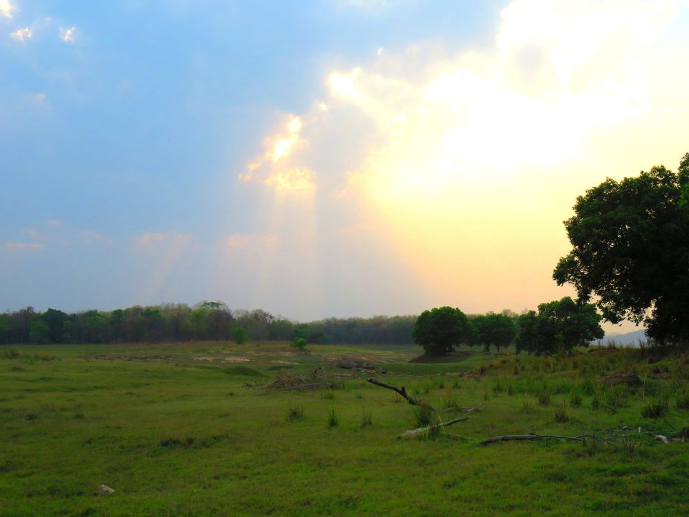 Photograph by SUCCESS LOVER