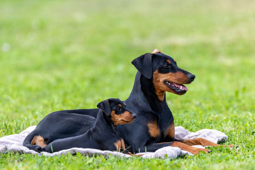 Photograph by Кирилл Ермолаев