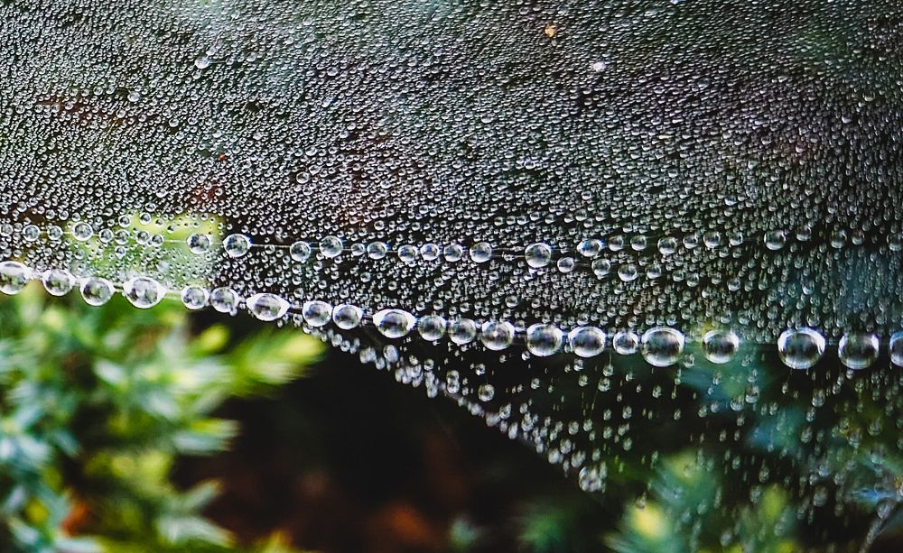 Фотография автора Elena Ku